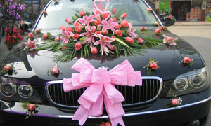 Wedding Cars Hire Sydney